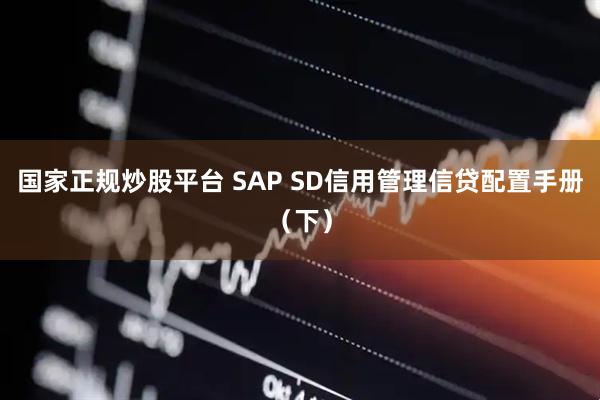 国家正规炒股平台 SAP SD信用管理信贷配置手册（下）