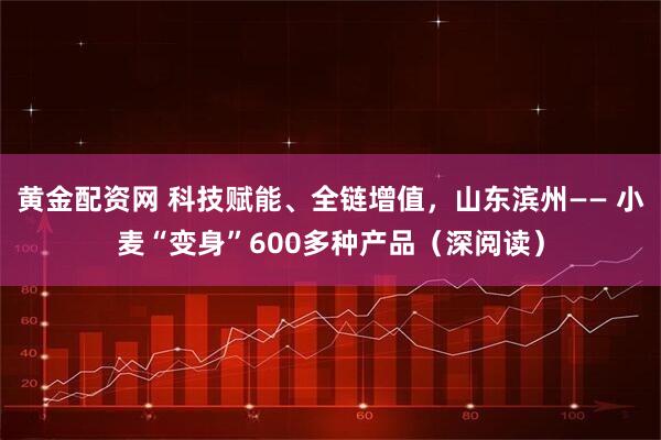 黄金配资网 科技赋能、全链增值，山东滨州—— 小麦“变身”600多种产品（深阅读）